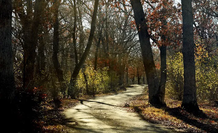 Astico Park Picture 5