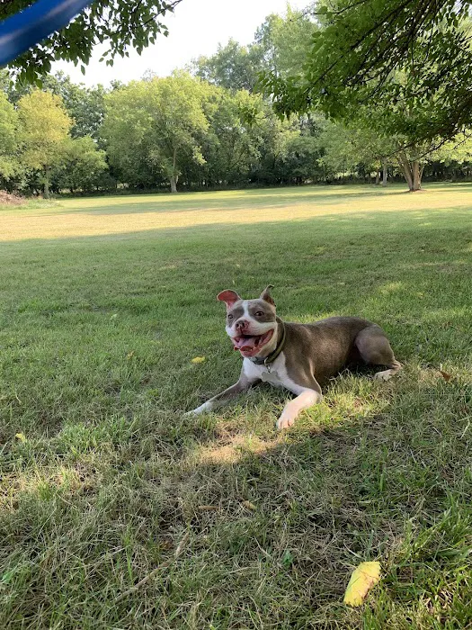 Sleepy Dragon Campground Picture 5