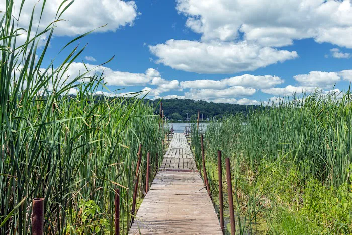 Lake Wisconsin Campground, LLC Picture 2