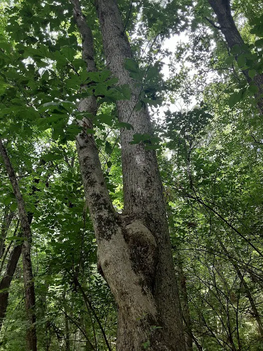 Spring Lake Park and Campground Picture 4