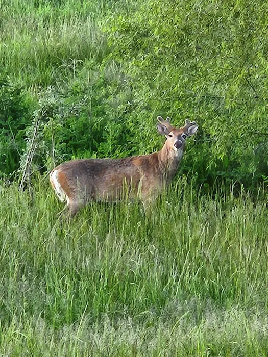 Spring Lake Park and Campground Picture 10
