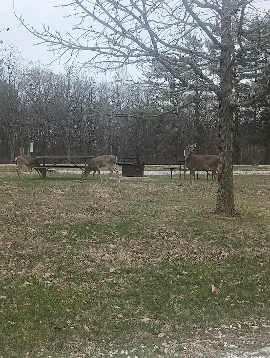 Argyle Lake State Park Campground Picture 7