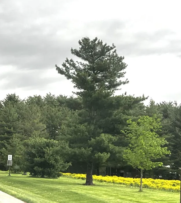 Argyle Lake State Park Campground Picture 5