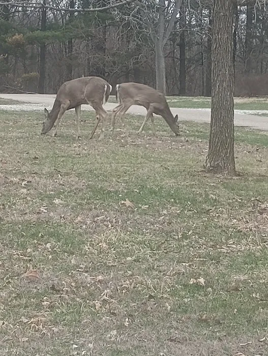 Argyle Lake State Park Campground Picture 6