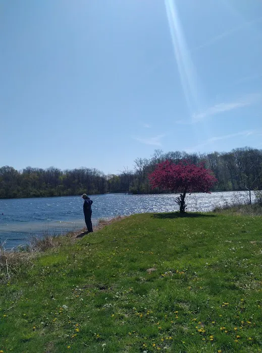 West Group Campground Picture 2