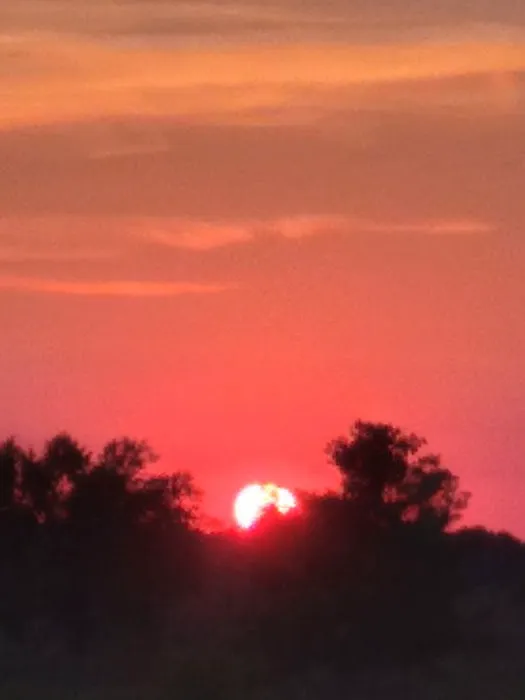 East Group Campground Picture 1