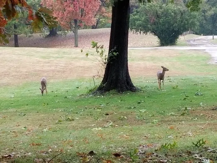 Riverside Park Campground Picture 5