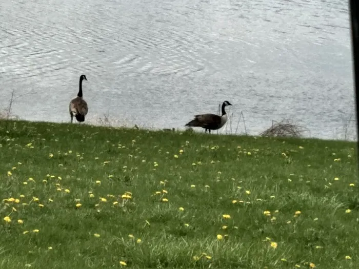 Citizen's Lake Campground Picture 1