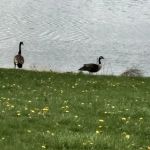 Citizen's Lake Campground