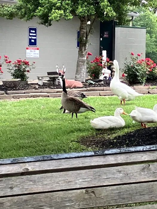 Arrowhead Lake Camp Ground & Recreational Center Picture 2