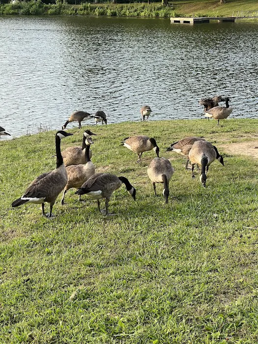 Arrowhead Lake Camp Ground & Recreational Center Picture 3