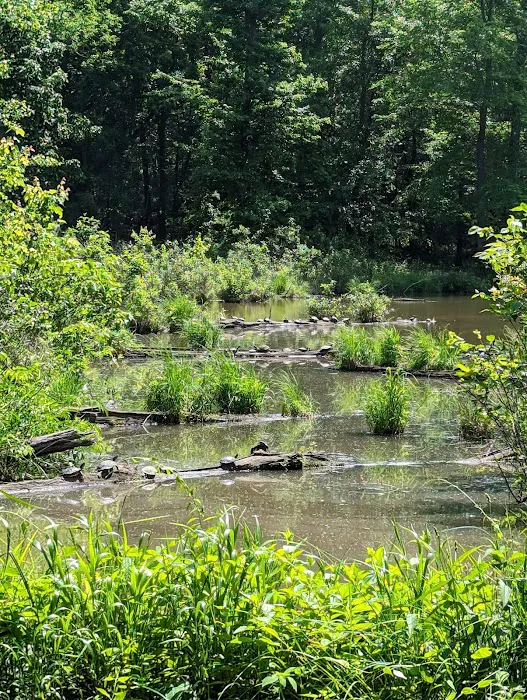 Arrowhead Lake Camp Ground & Recreational Center Picture 10