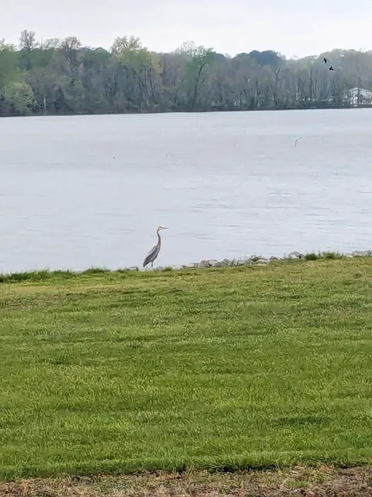 Crab Orchard Campground Picture 6