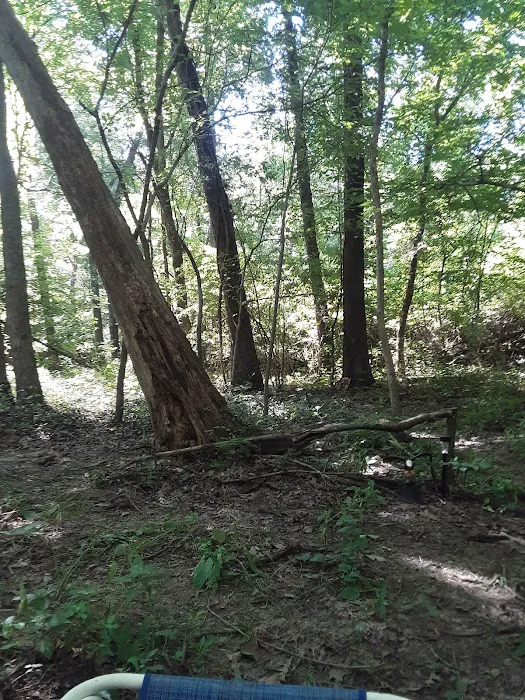 Bailey's Oasis Picture 1