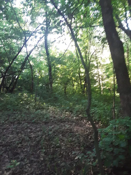 Bailey's Oasis Picture 4