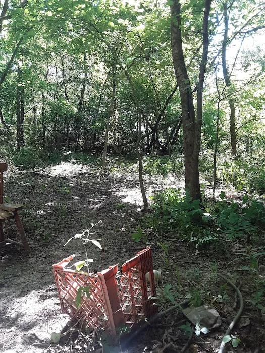 Bailey's Oasis Picture 3