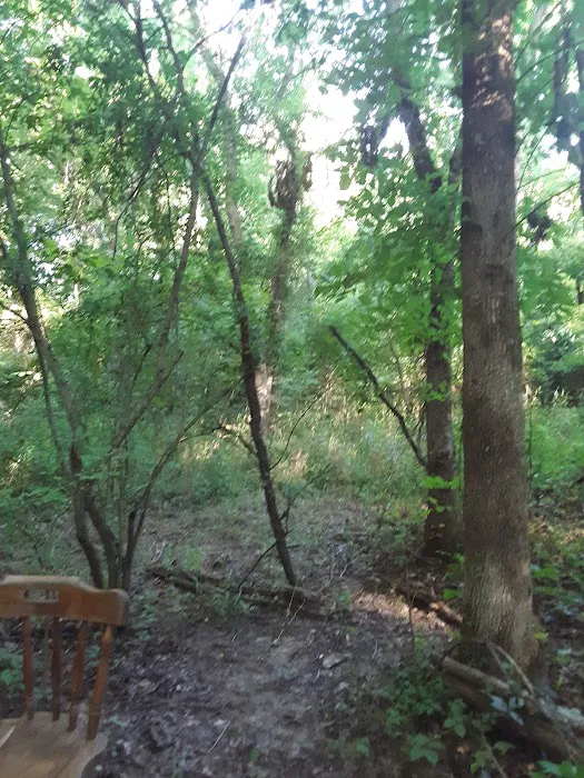 Bailey's Oasis Picture 2