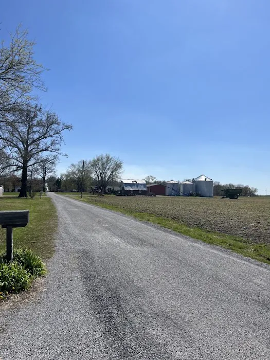 Hushed Sunset Picture 1