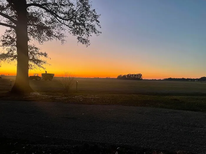 Hushed Sunset Picture 2