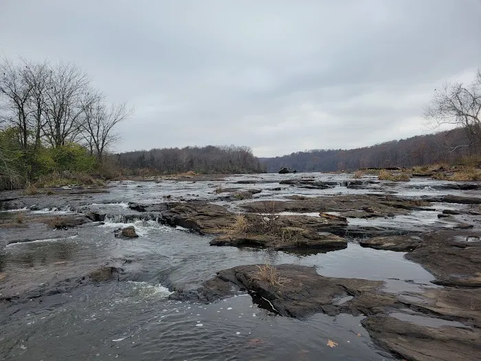 Cedar Lake Campsite #1 Picture 1