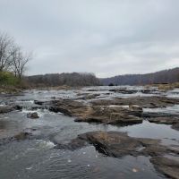 Cedar Lake Campsite #1 ico