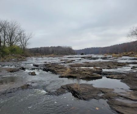 Cedar Lake Campsite #1
