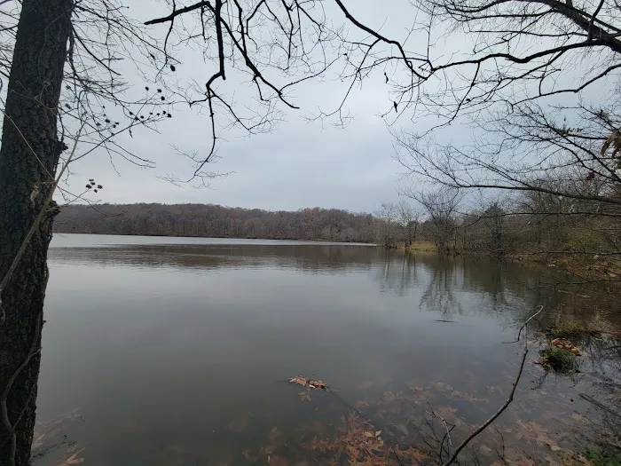 Cedar Lake Campsite #1 Picture 3