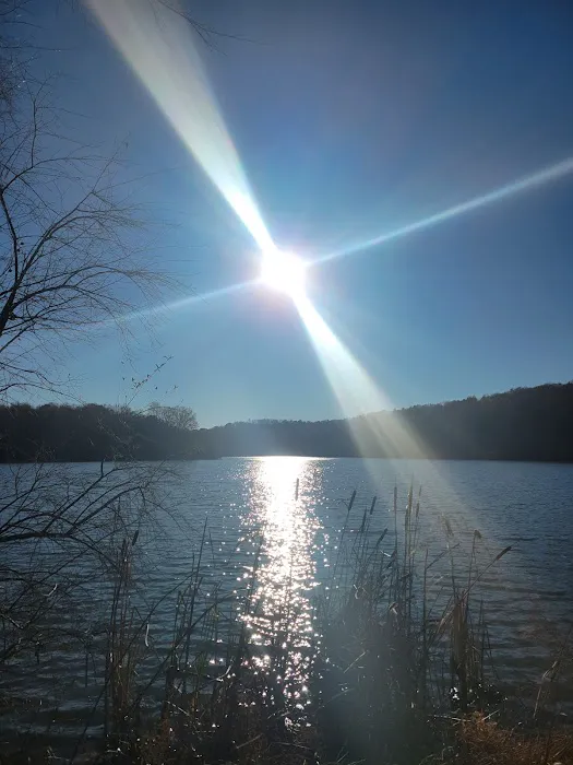 Cedar Lake Campsite #1 Picture 4