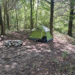 Cedar Lake Campsite #2