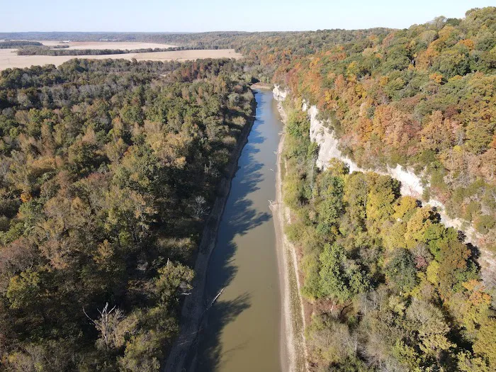 Turkey Bayou Picture 3