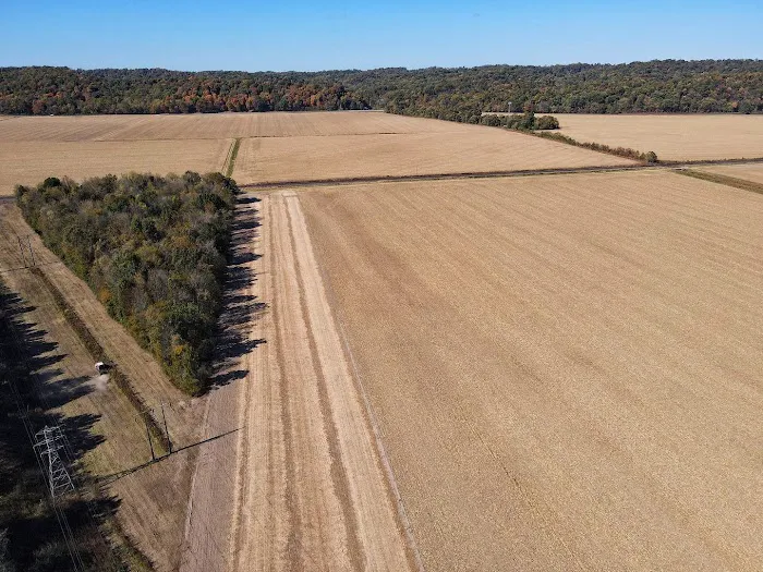 Turkey Bayou Picture 1