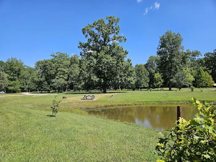 Turkey Bayou Picture 4