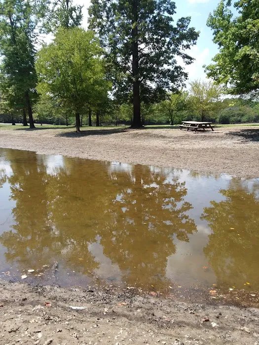 Turkey Bayou Picture 8