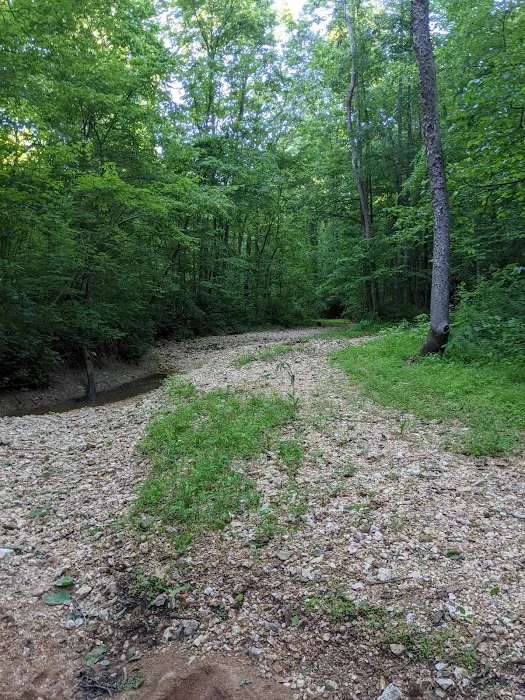 Pine Hills Campground Picture 4