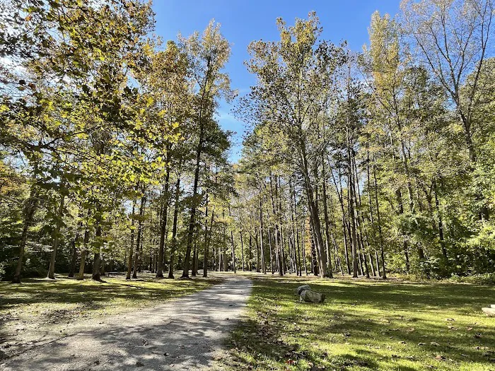 Pine Hills Campground Picture 5