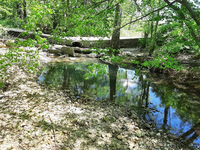 Pine Hills Campground Picture 8