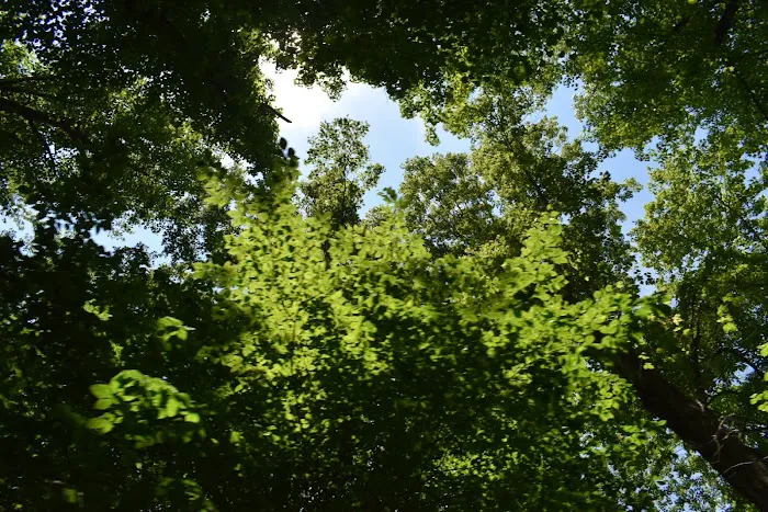 Pine Hills Campground Picture 10