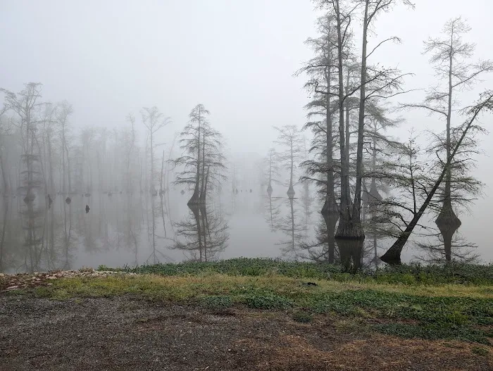 Horseshoe Lake State Fish & Wildlife Area-West Campground Picture 8