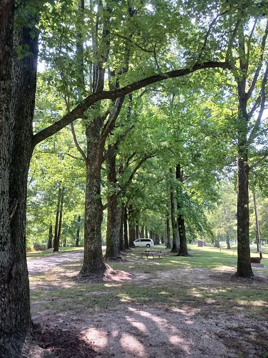 Horseshoe Lake State Fish & Wildlife Area-West Campground Picture 7