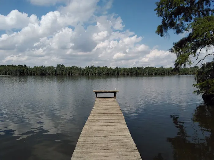 Horseshoe Lake State Fish & Wildlife Area-West Campground Picture 2