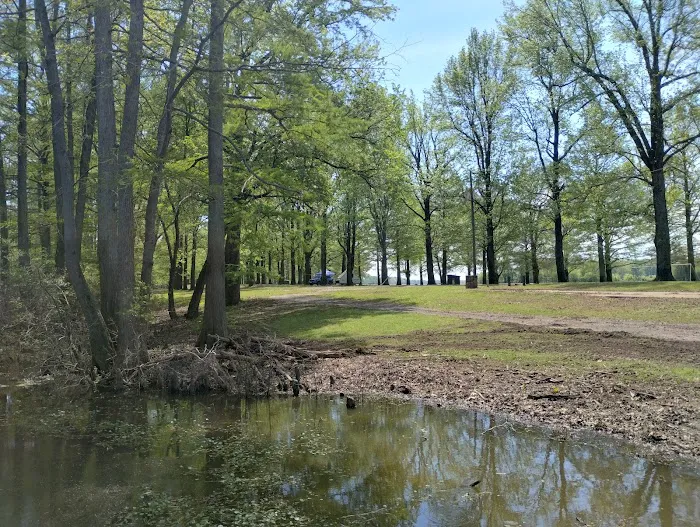 Horseshoe Lake State Fish & Wildlife Area-West Campground Picture 10