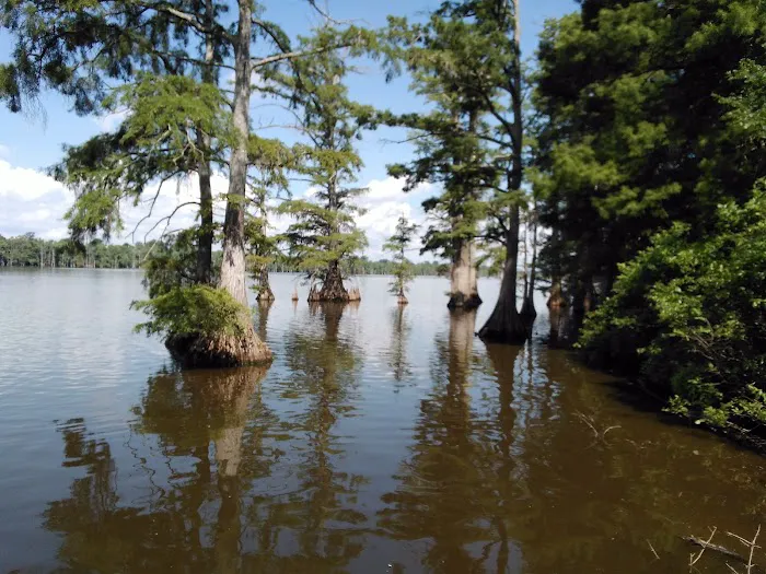 Horseshoe Lake State Fish & Wildlife Area-West Campground Picture 1
