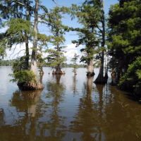 Horseshoe Lake State Fish & Wildlife Area-West Campground ico