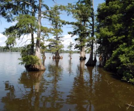 Horseshoe Lake State Fish & Wildlife Area-West Campground