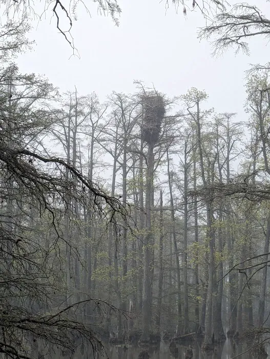 Horseshoe Lake State Fish & Wildlife Area-West Campground Picture 6