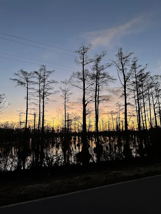 The Rested Duck Picture 2