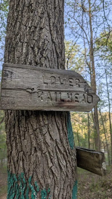 David Crockett State Park Campground #1 Picture 1