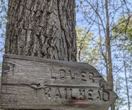 David Crockett State Park Campground #1