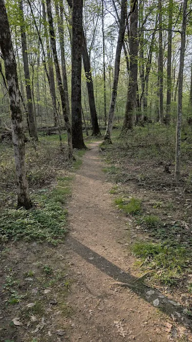 David Crockett State Park Campground #1 Picture 5