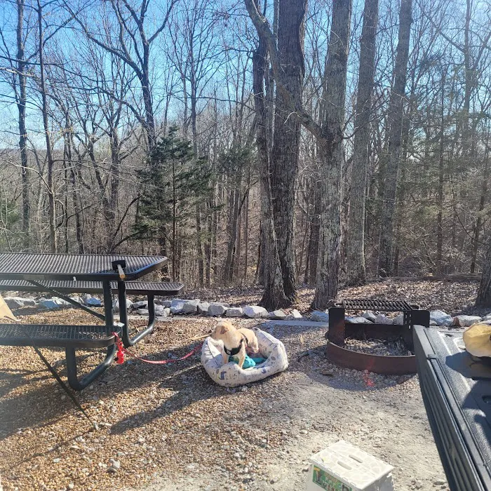 Mousetail Campground Picture 1